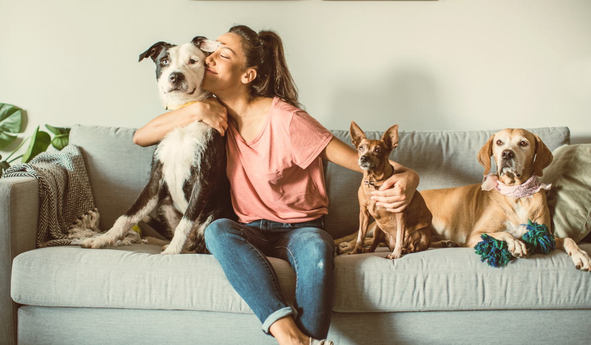 A woman sitting on a couch with three dogs, hugging a large black and white dog, with two smaller dogs sitting to her right for blog pillar How to Immigrate to Australia from South Africa