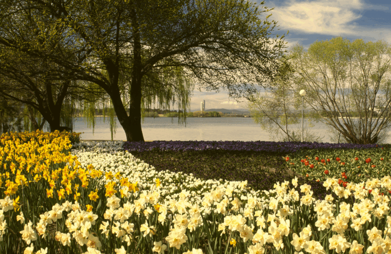 Can I Return to Australia if my Permanent Residency has Expired?